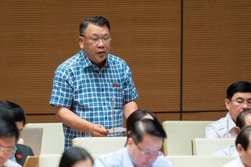 ĐB Quốc hội: Tài sản công, nguồn lực từ đất đang bị lãng phí trầm trọng