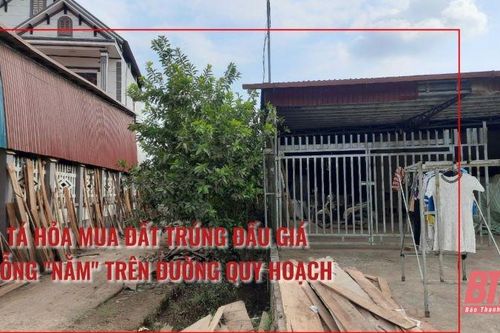 Xã Thuận Minh, huyện Thọ Xuân: Tá hỏa mua đất trúng đấu giá bỗng 'nằm' trên đường quy hoạch