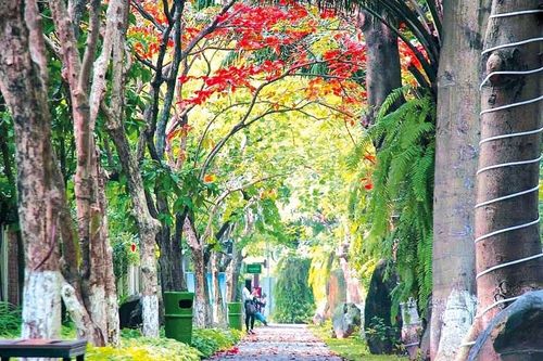 Khu đô thị nói không với những cung đường, vỉa hè bê tông tại Việt Nam