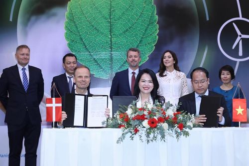 T&T Group và Orsted hợp tác với NIC phát triển điện gió ngoài khơi