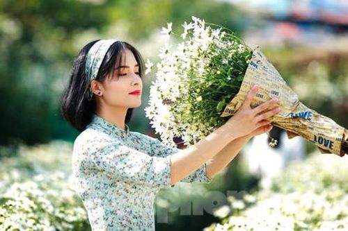 Xao xuyến ngắm thiếu nữ diện áo dài tạo dáng bên loài hoa báo đông