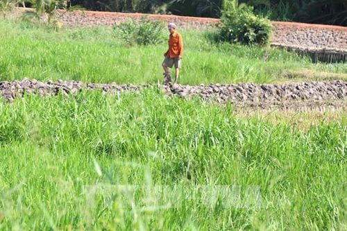 Trăn trở những dự án kéo dài hàng thập kỷ