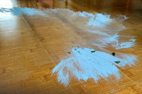 Đề xuất kiểm định mẫu bụi bẩn tấp vào nhà dân ở Quảng Ngãi
