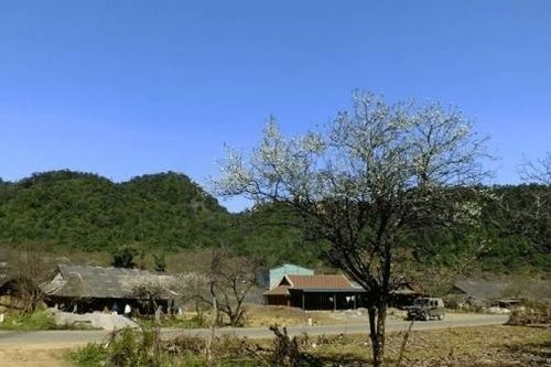 Vân Hồ (Sơn La) - Vẻ đẹp hoang sơ không thể bỏ lỡ