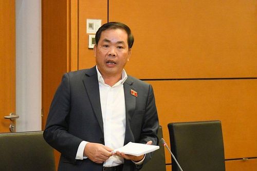 ĐBQH bức xúc việc người nổi tiếng bị lợi dụng để quảng cáo trên mạng
