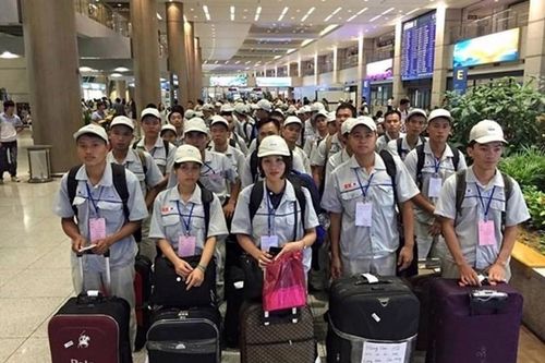 Xử phạt 3 doanh nghiệp vi phạm quy định đưa lao động sang Hàn Quốc