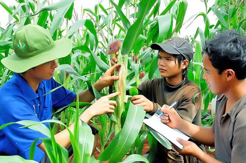 Gia Lai: Đề xuất đưa vào Nghị quyết HĐND tỉnh những quy định trong thực hiện các chương trình mục tiêu quốc gia