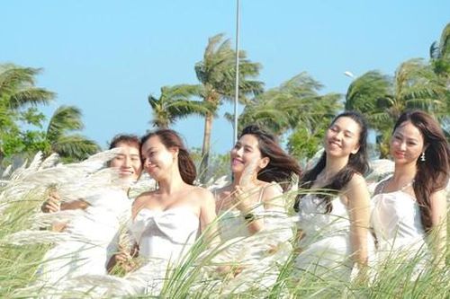 Đà Nẵng vào mùa cỏ lau đẹp hút hồn, hàng ngàn người đến 'check-in'