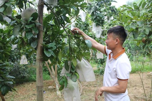 Tỷ phú VACR ở Văn Hán