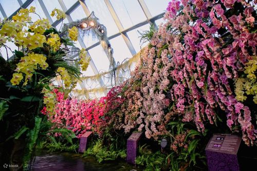 Vườn hoa khổng lồ như cổ tích ở Singapore