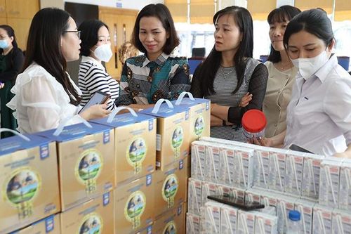 Tập huấn chăm sóc sức khỏe trẻ em và người cao tuổi tại khu vực phía bắc