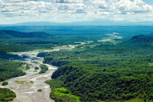 Biến đổi khí hậu gây ảnh hưởng nghiêm trọng đến tài nguyên rừng