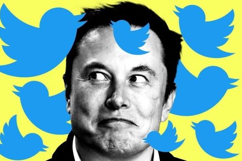 Elon Musk khiến thung lũng Silicon phải chia phe
