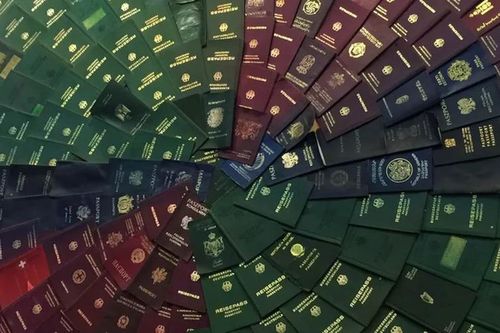 Vì sao hộ chiếu trên thế giới chỉ có 4 gam màu chủ đạo?