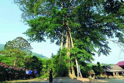 Thái Nguyên: Tu bổ cụm di tích Chủ tịch Hồ Chí Minh