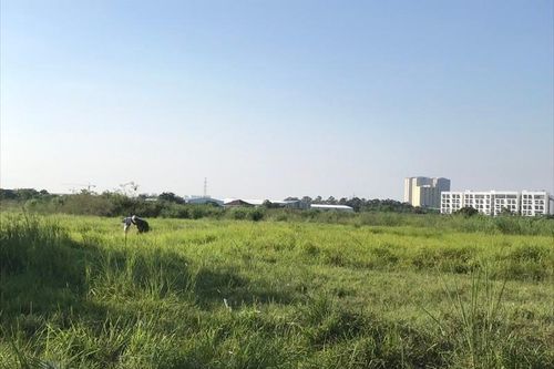 Đất Hà Nội những khu vực nào đấu giá rẻ nhất?