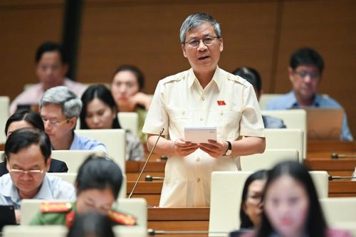 Đại biểu Quốc hội: 'Tham nhũng vặt như 'vòi bạch tuộc' đeo đẳng, bám chặt'