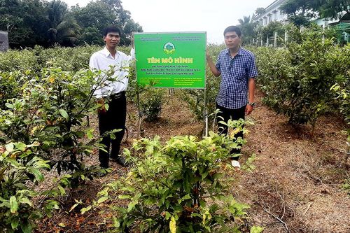 Nông dân Vọng Thê thay đổi để phát triển