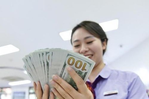 Tỷ giá: Cần thêm thời gian để cải thiện tâm lý nắm giữ USD trên thị trường