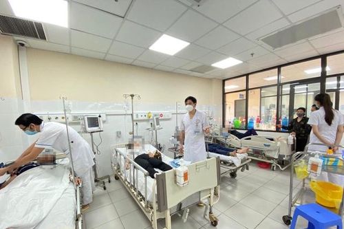 Hàng loạt người bị ong tấn công, 4 người nhiễm độc nặng