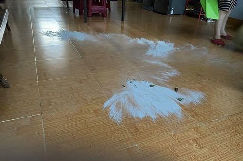 Nhà máy nào gây bụi mịn?