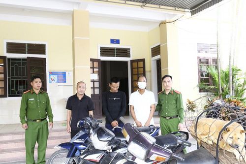 Khởi tố 2 đối tượng gây ra hàng loạt vụ trộm và tiêu thụ chó