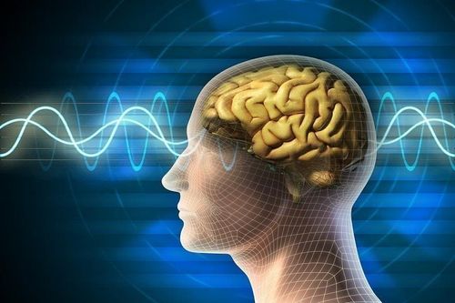 Con người chỉ dùng 10% não bộ?