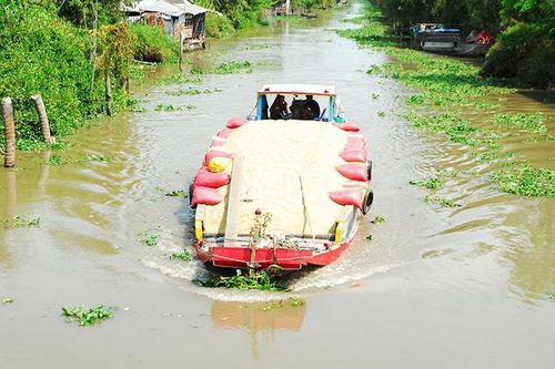 Tạo sức bật cho vùng Đồng Tháp Mười