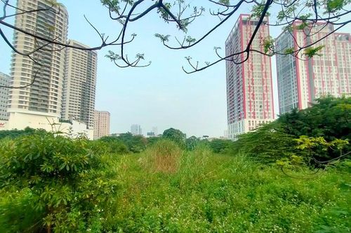 'Đất vàng' Constrexim Complex 'đắp chiếu', cỏ mọc hoang hóa