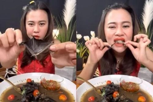 YouTuber Thái Lan bị chỉ trích vì ăn thịt dơi