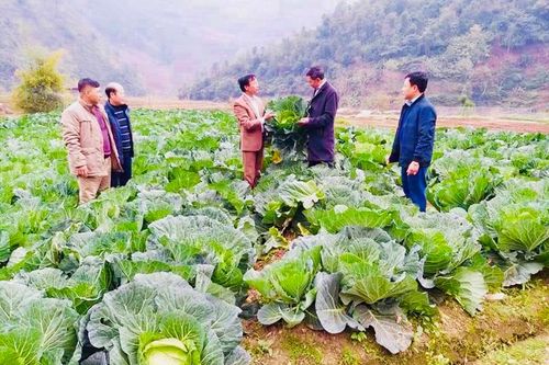 Bố trí ngân sách phát triển kinh tế tập thể, hợp tác xã nhưng hạn chế xin cho, trục lợi chính sách