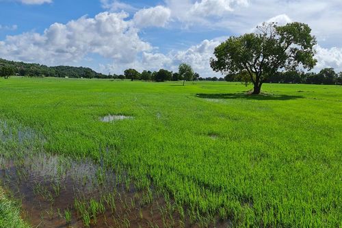 An Giang hướng đến sản xuất nông nghiệp xanh