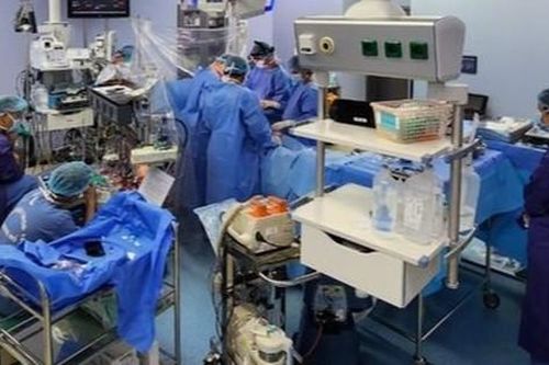 Cô gái trẻ thoát 'cửa tử' ngoạn mục khi rơi từ tầng 5 xuống đất