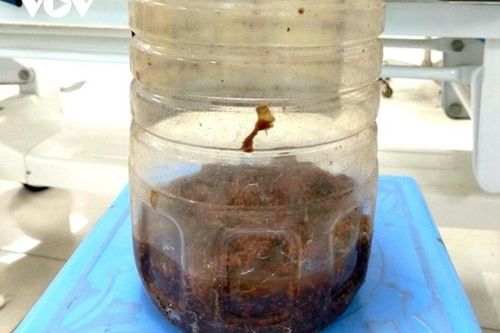 2 người đàn ông mê sảng sau khi uống rượu ngâm cà có gai