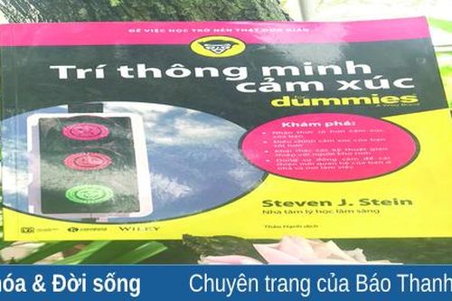 Trí thông minh cảm xúc: Từ hiểu đến làm chủ