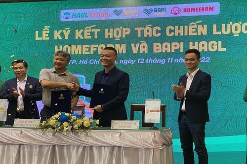 Hoàng Anh Gia Lai ra mắt kênh thương mại điện tử BAPI để bán heo, gà thả vườn ăn chuối