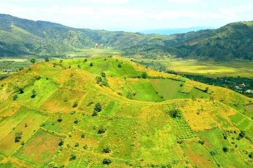 Thổn thức ngắm hoa dã quỳ trên núi lửa Chư Đang Ya