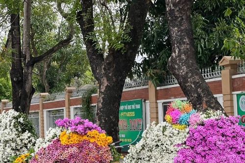Nhiều ý kiến xung quanh việc xử lý người bán hoa dạo tại TP. Vinh