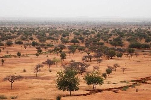 COP27: Thúc đẩy sáng kiến biến sa mạc thành năng lượng tại châu Phi