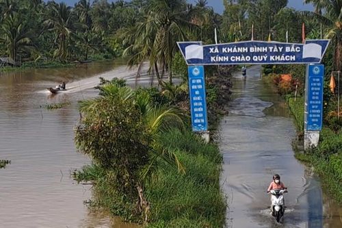 Cà Mau: Nguy cơ 'phố biến thành sông'