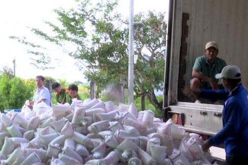 Bạc Liêu tiêu hủy hơn 2 triệu con tôm giống không có giấy chứng nhận kiểm dịch