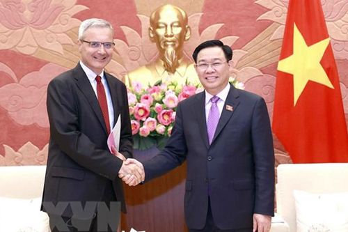 Chủ tịch Quốc hội Vương Đình Huệ tiếp Đại sứ Cộng hòa Pháp Nicolas Warnery