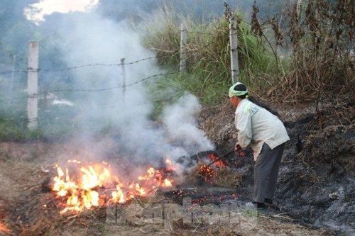 Hạ thi đua 6 Chủ tịch xã để xảy ra đốt rơm rạ tràn lan, ô nhiễm môi trường