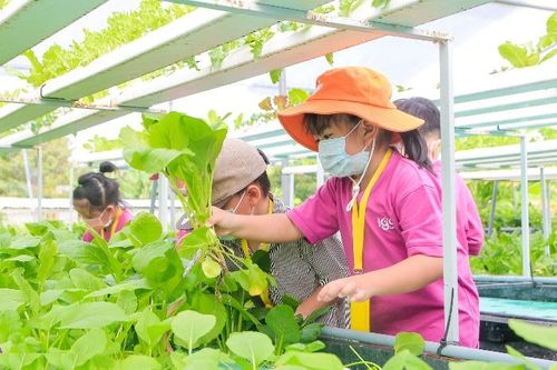 Bắt đầu từ rễ…