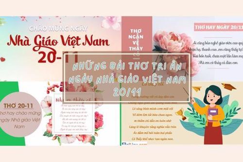 Những bài thơ tri ân thầy cô nhân ngày Nhà giáo Việt Nam 20/11