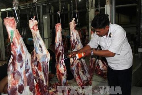 Chuỗi thực phẩm an toàn và khâu giết mổ không an toàn