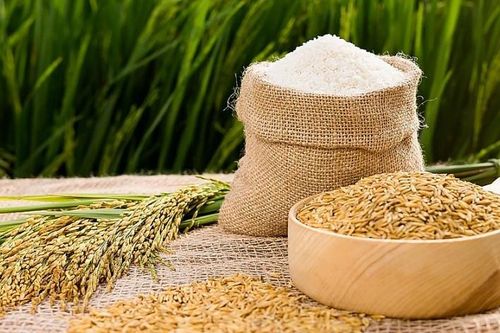 Cục Chế biến bị phê bình vì chậm tham mưu về chứng nhận Gạo quốc gia Việt Nam
