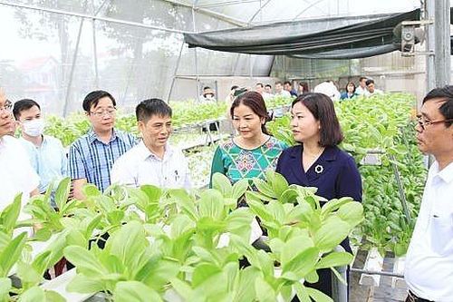 Hà Nội nỗ lực hoàn thành xây dựng nông thôn mới