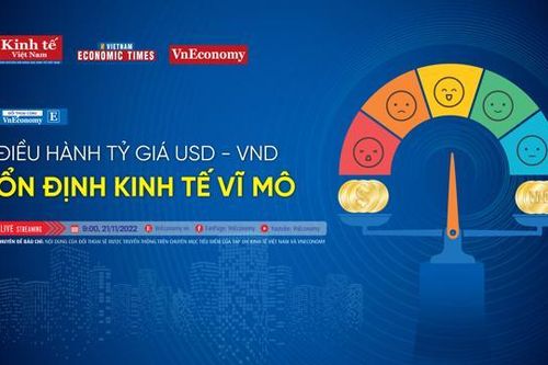 Đối thoại chuyên đề: 'Điều hành tỷ giá USD/VND: Ổn định kinh tế vĩ mô'