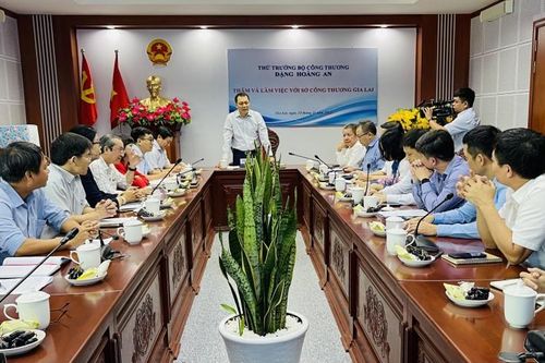 Thứ trưởng Đặng Hoàng An: Gia Lai cần ưu tiên phát triển điện sinh khối